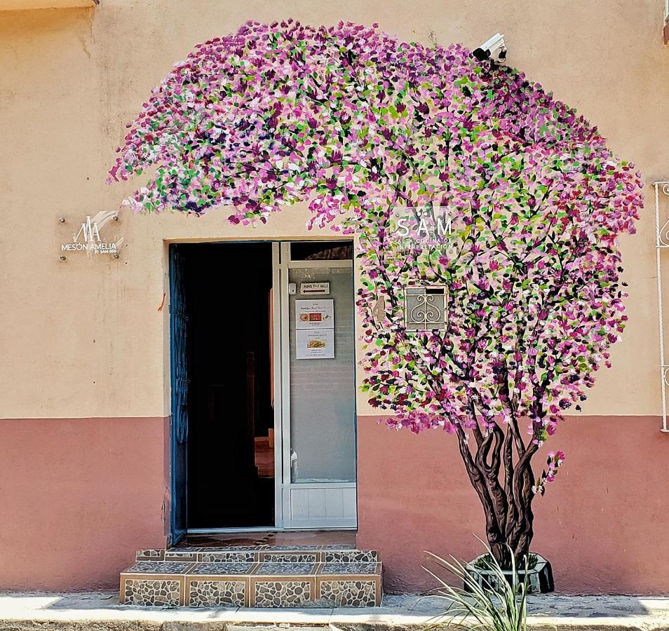 Meson Amelia Hotel San Miguel de Allende Kültér fotó
