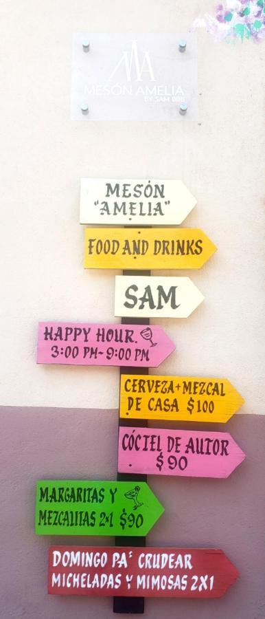 Meson Amelia Hotel San Miguel de Allende Kültér fotó